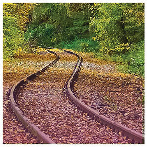 A railroad track curving through an autumn forest
